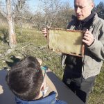 Lerngang zu den BIENEN