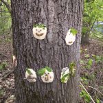 Waldtag der Grundstufe