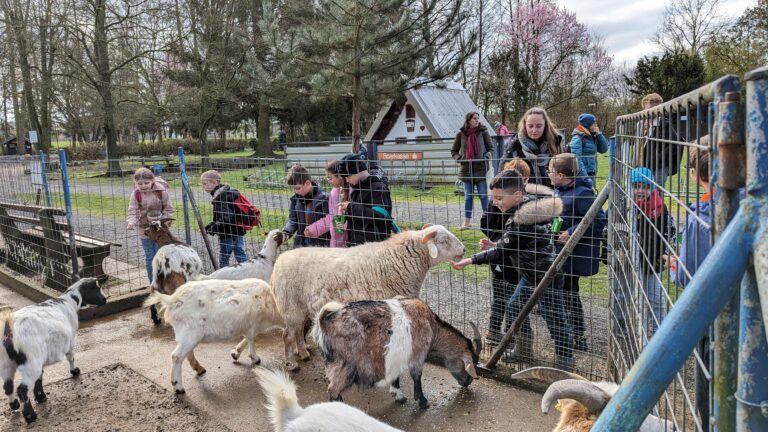 Mehr über den Artikel erfahren Ausflug in den Tierpark