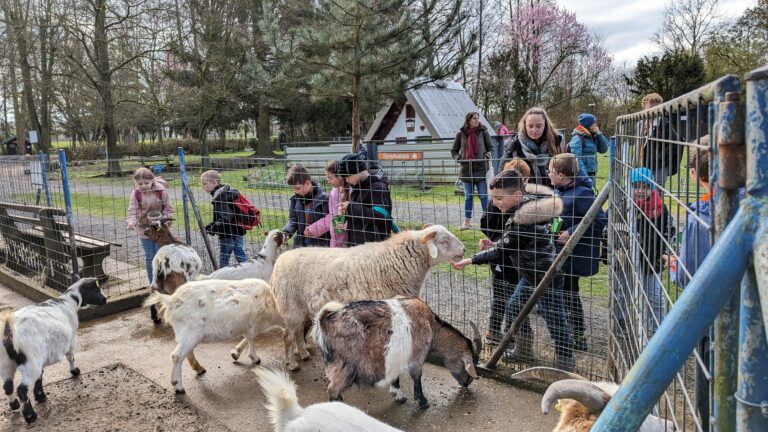 Read more about the article Ausflug in den Tierpark