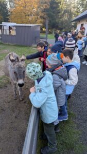 PXL_20251106_084243522.MP