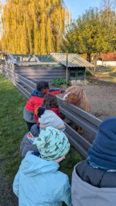 PXL_20251106_084728303.MP