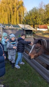 PXL_20251106_084759852