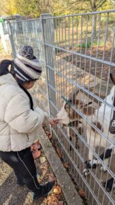 PXL_20251106_093714627