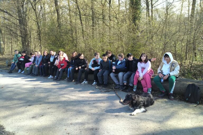 Mehr über den Artikel erfahren Klasse 6/7 macht einen Ausflug