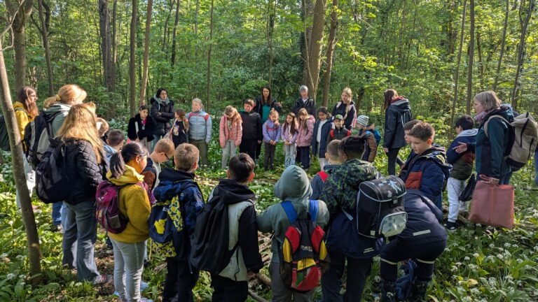 Mehr über den Artikel erfahren Den Wald mit allen Sinnen erleben